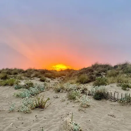 Jolie Maison Au Coeur De - Proche Des Plages Sérignan